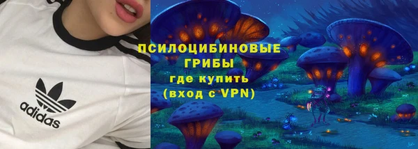 мескалин Горнозаводск