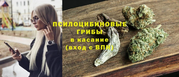 а пвп мука Горняк
