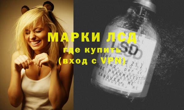 ешки Гусь-Хрустальный